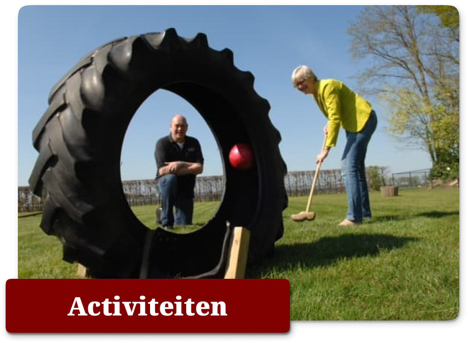 Activiteiten categorie knop